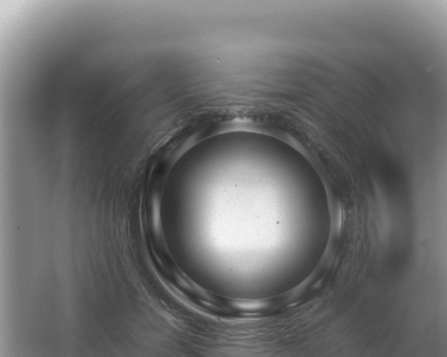 X0000062850750200601171511