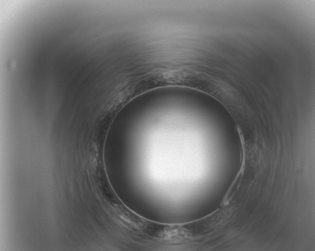 X0000062850752200601171511