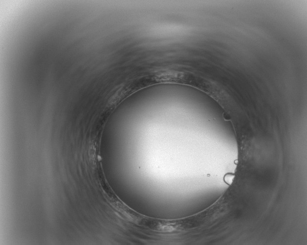 X0000062850753200601171511