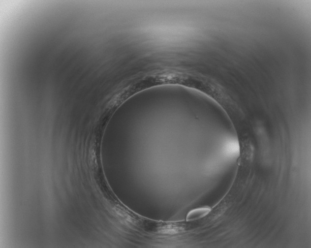 X0000062850754200601171511