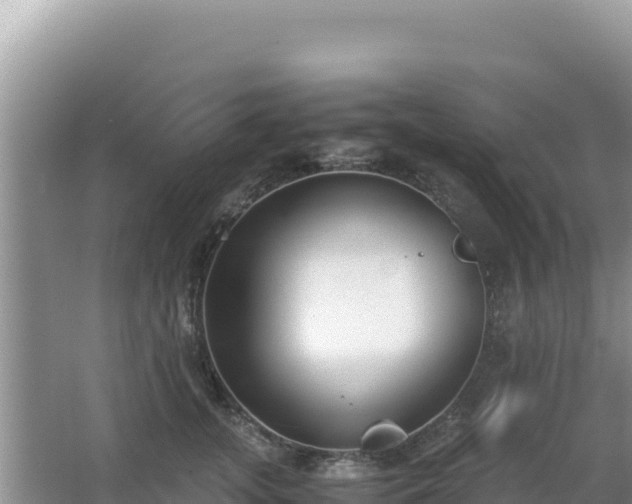 X0000062850755200601171511