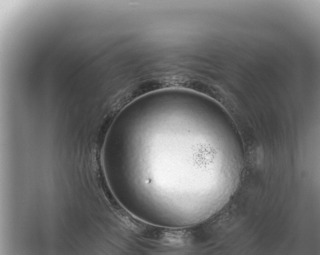 X0000062850757200601171511