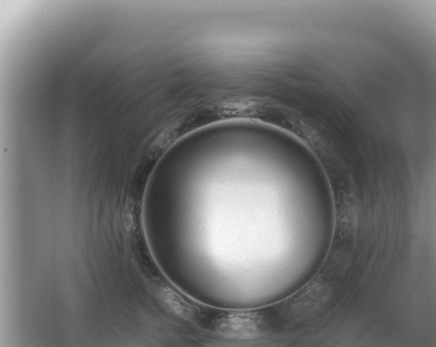 X0000062850758200601171511