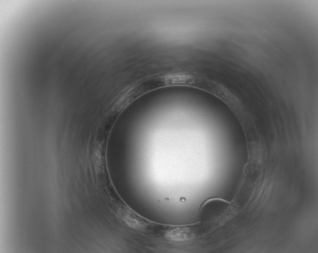 X0000062850761200601171511