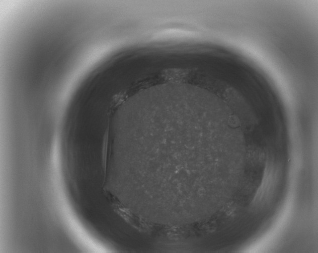 X0000062850765200601171511