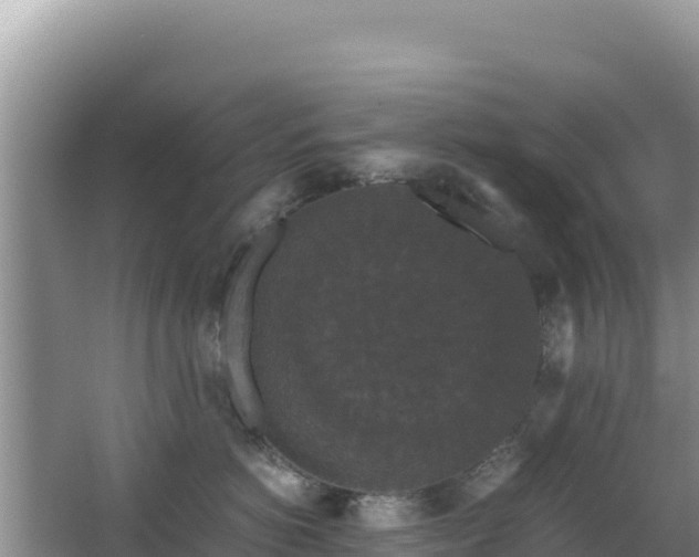 X0000062850766200601171511