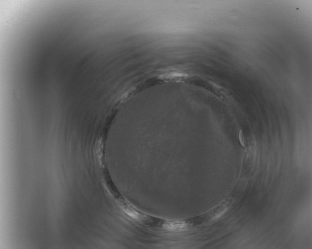 X0000062850767200601171511