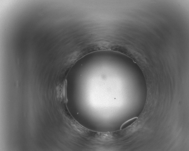 X0000062850768200601171511