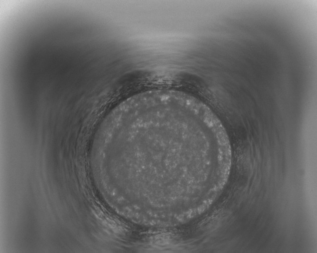 X0000062850769200601171510