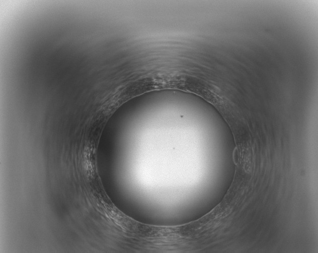 X0000062850770200601171510