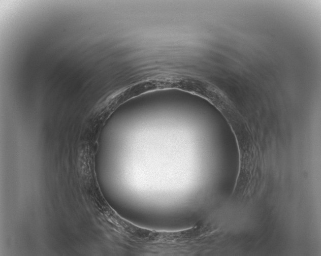 X0000062850773200601171510