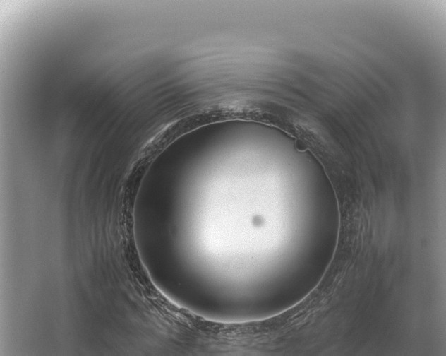 X0000062850776200601171510