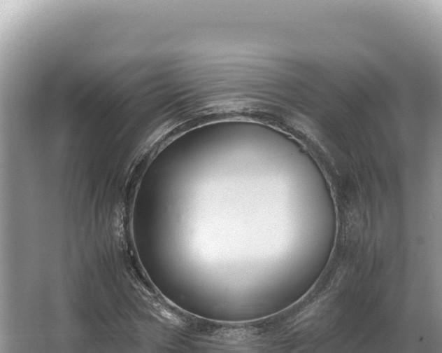 X0000062850778200601171510