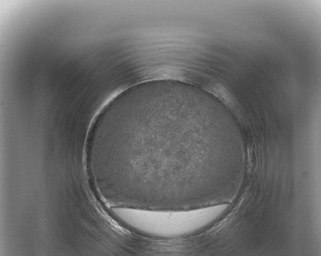 X0000062850780200601171510