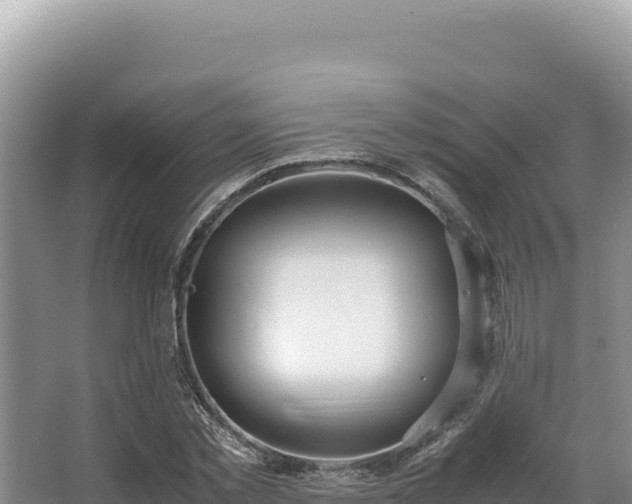 X0000062850781200601171510