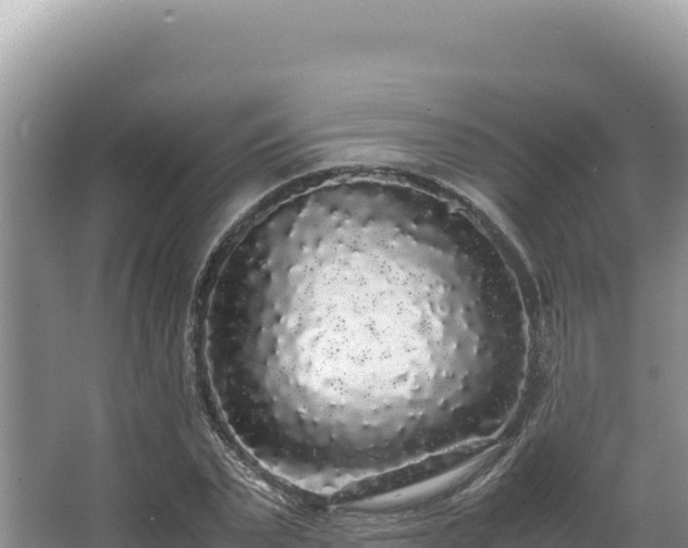 X0000062850783200601171510