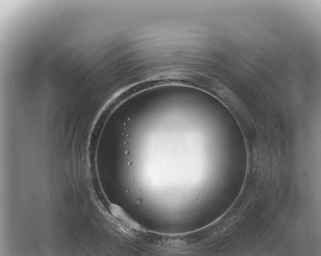 X0000062850784200601171510