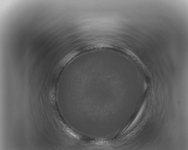 X0000062850785200601171510