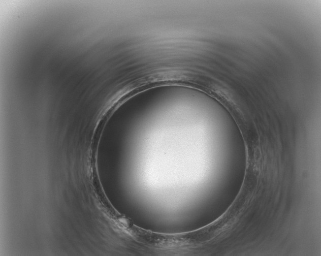 X0000062850786200601171510