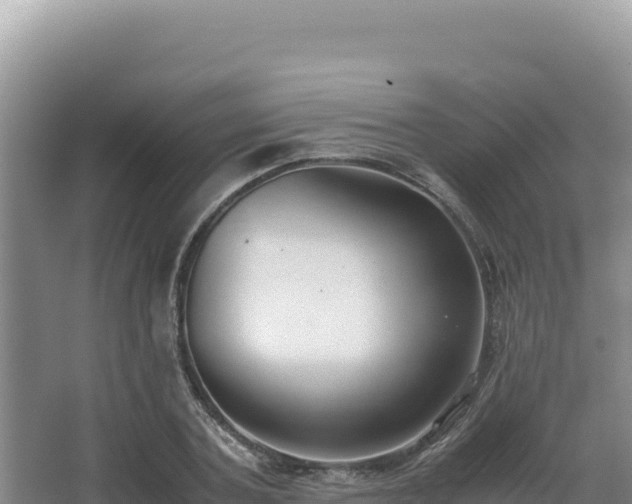 X0000062850787200601171510