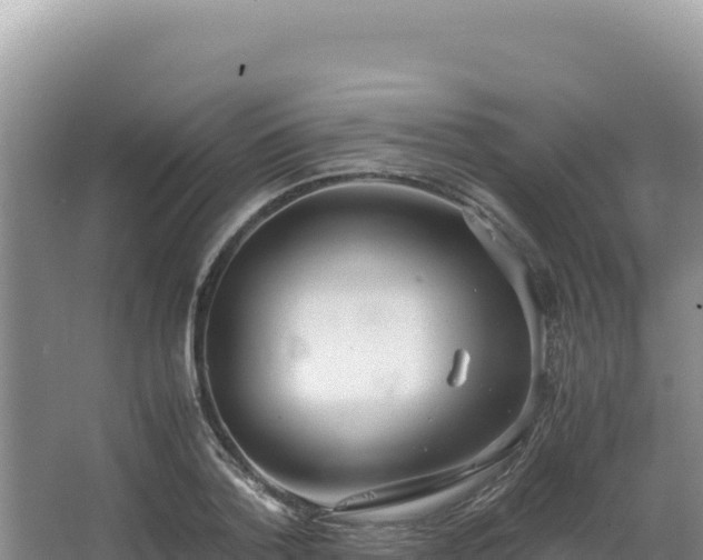 X0000062850788200601171510