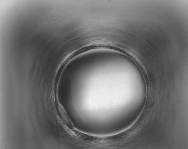 X0000062850791200601171510