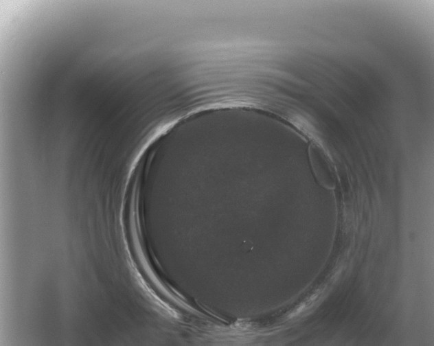 X0000062850797200601171510