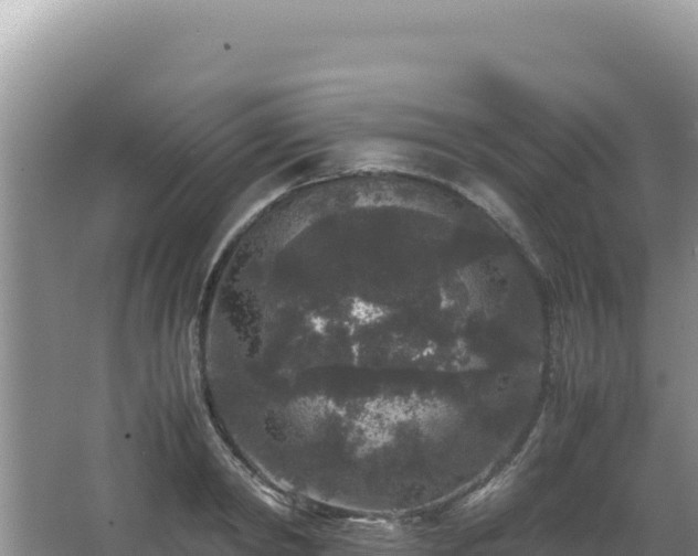 X0000062850798200601171510