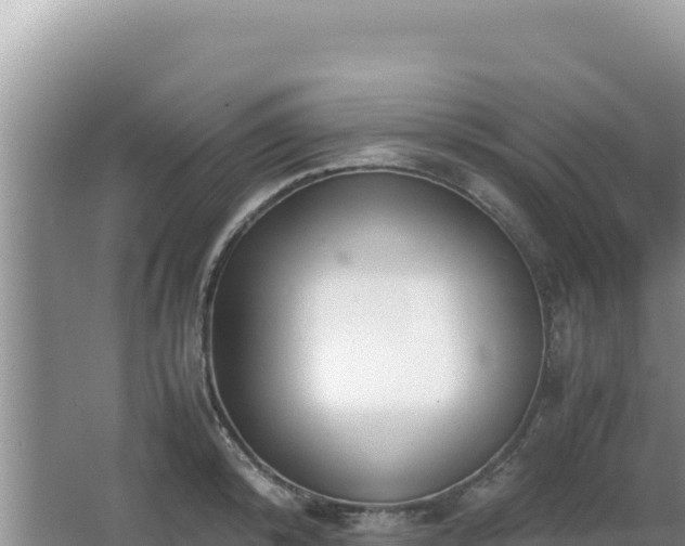 X0000062850800200601171510