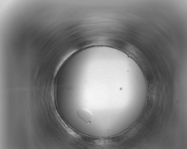 X0000062850804200601171510