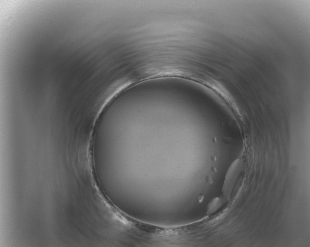 X0000062850806200601171510