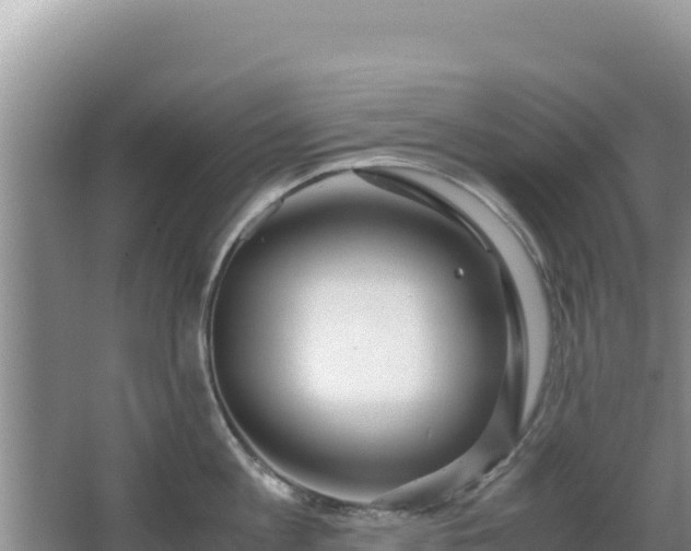 X0000062850813200601171509