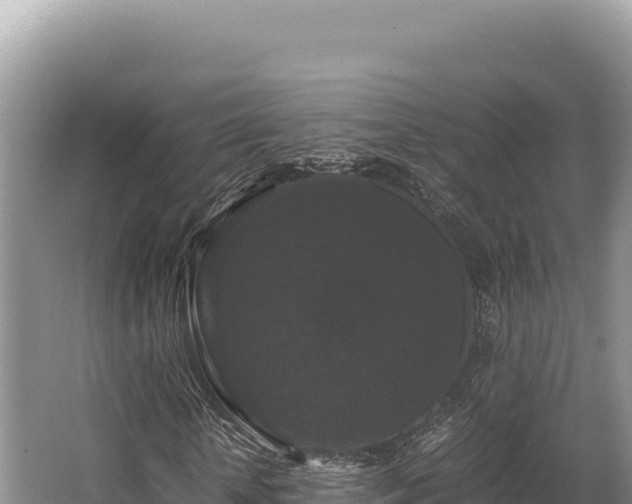 X0000062850818200601171509