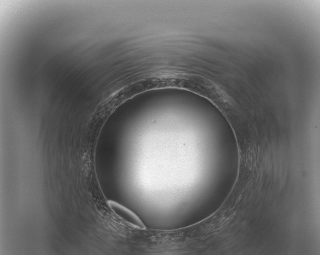 X0000062850821200601171509