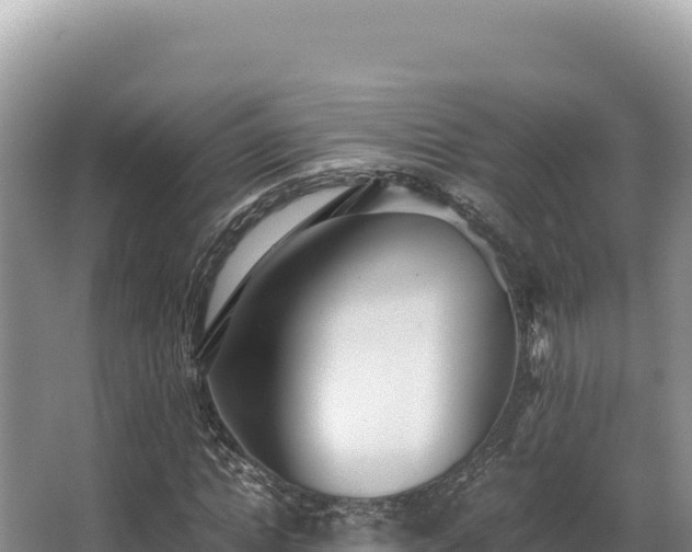 X0000062850822200601171509