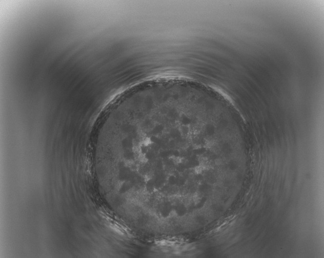 X0000062850823200601171509