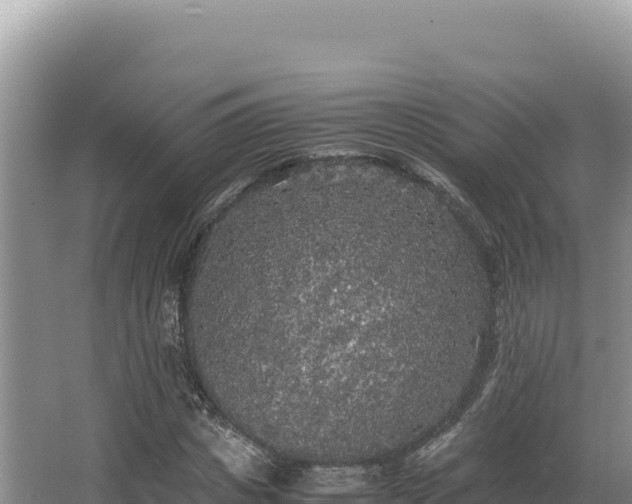 X0000062850825200601171509