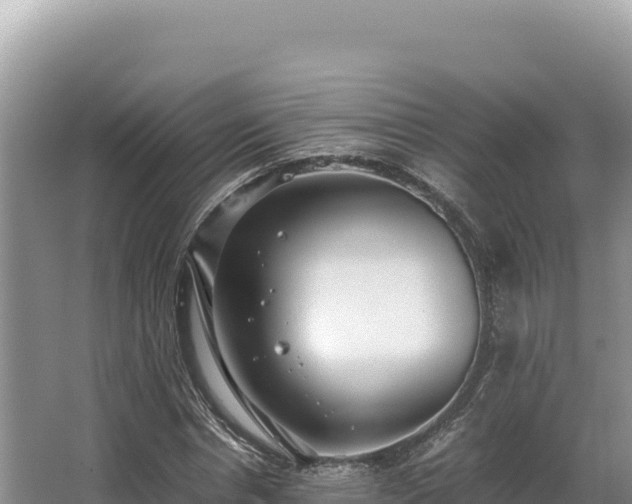 X0000062850826200601171509