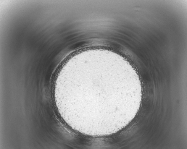 X0000062850828200601171509