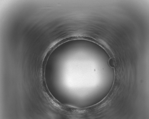 X0000062850831200601171509