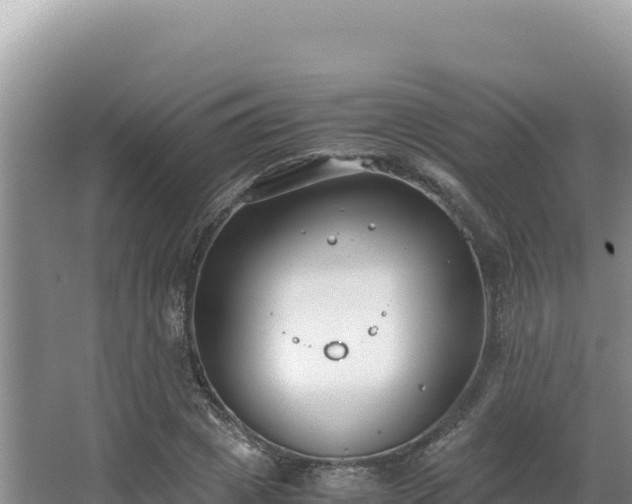 X0000062850833200601171509