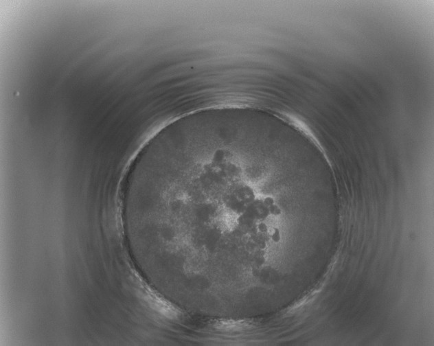 X0000062850835200601171509