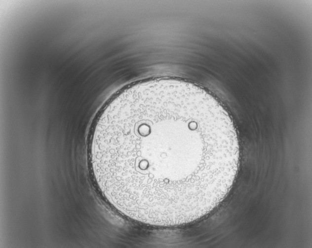 X0000062850836200601171509