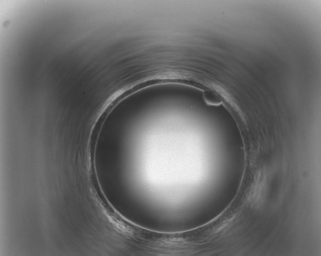 X0000062850837200601171509