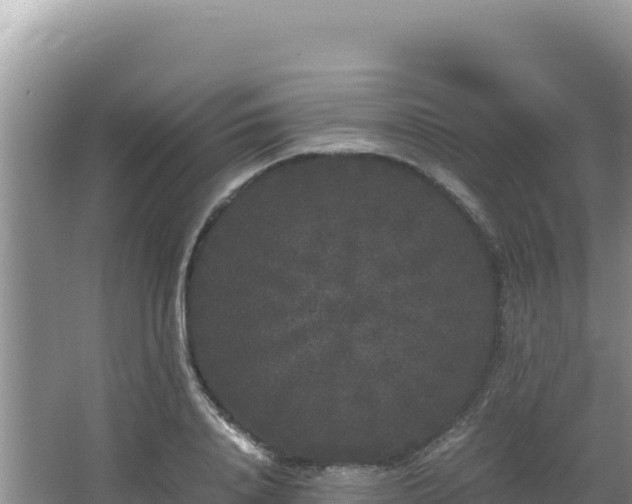 X0000062850840200601171509