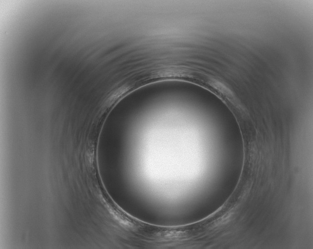 X0000062850841200601171509