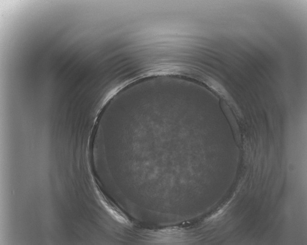 X0000062850842200601171509