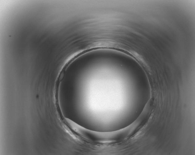 X0000062850846200601171509