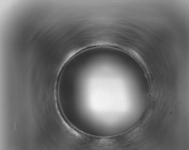 X0000062850847200601171509