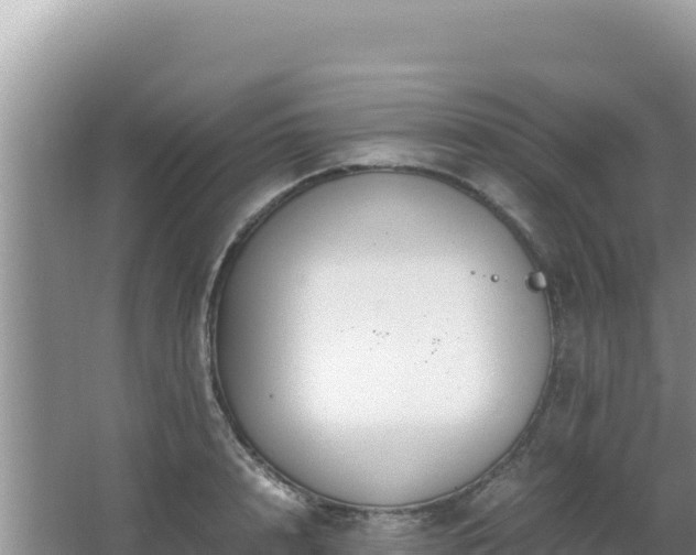 X0000062850848200601171509